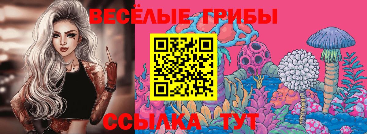 Галлюциногенные грибы MAGIC MUSHROOMS Сыктывкар