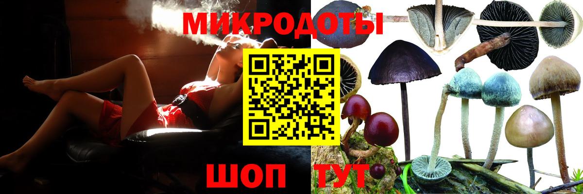Псилоцибиновые грибы MAGIC MUSHROOMS  Галлюциногенные грибы Psilocybe  Сыктывкар  Вход с VPN 